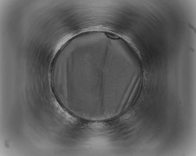 X0000100500998200806271255