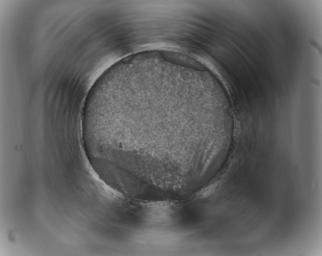 X0000100500999200806271255