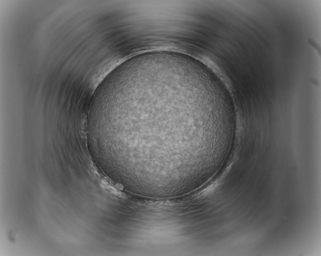 X0000100501001200806271255