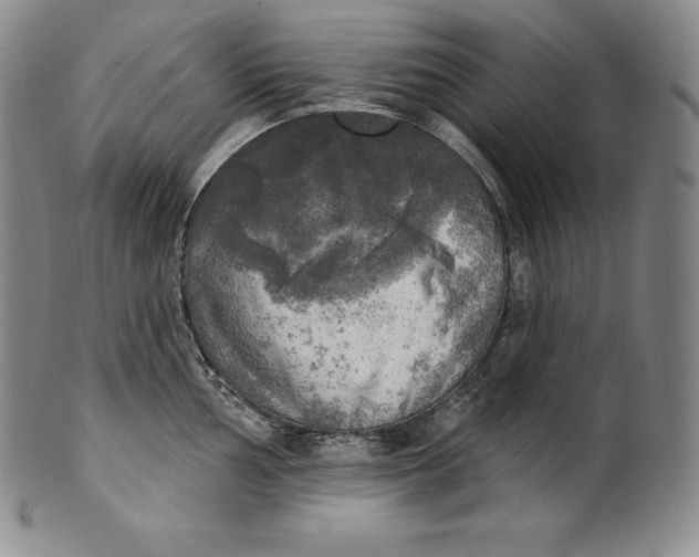 X0000100501002200806271255