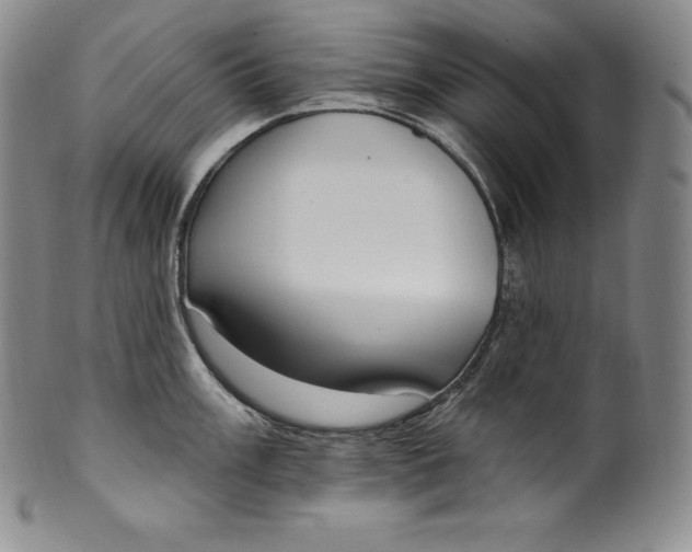 X0000100501003200806271255