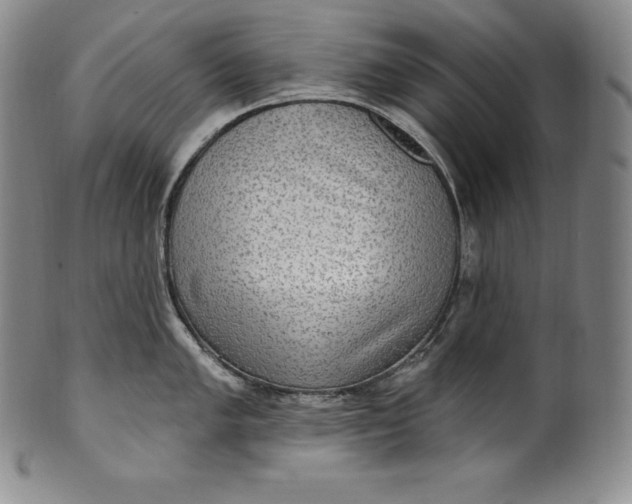 X0000100501005200806271255