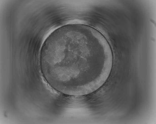 X0000100501008200806271255