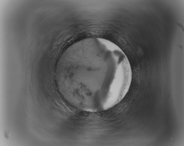 X0000100501009200806271254