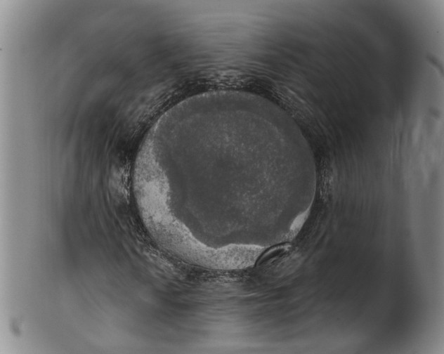 X0000100501010200806271254