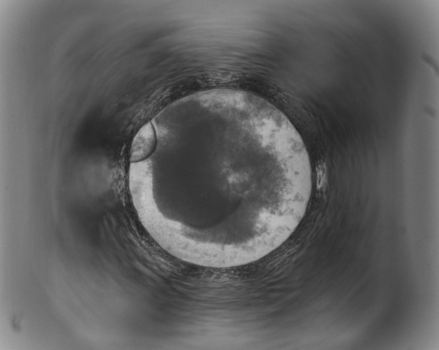 X0000100501011200806271254