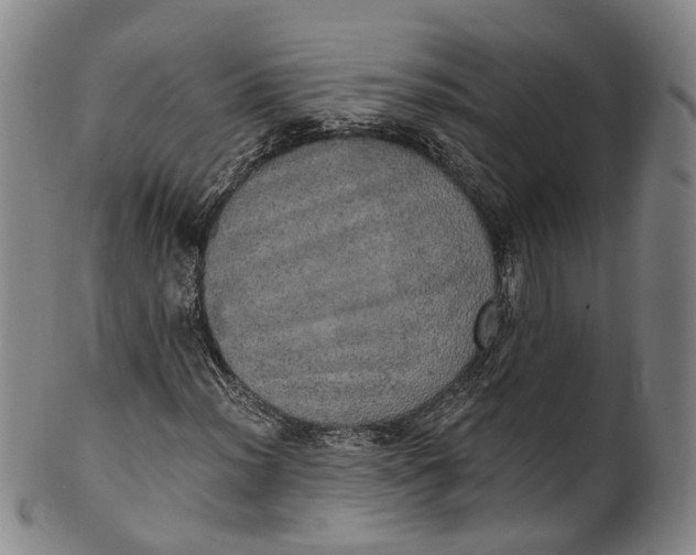 X0000100501012200806271254