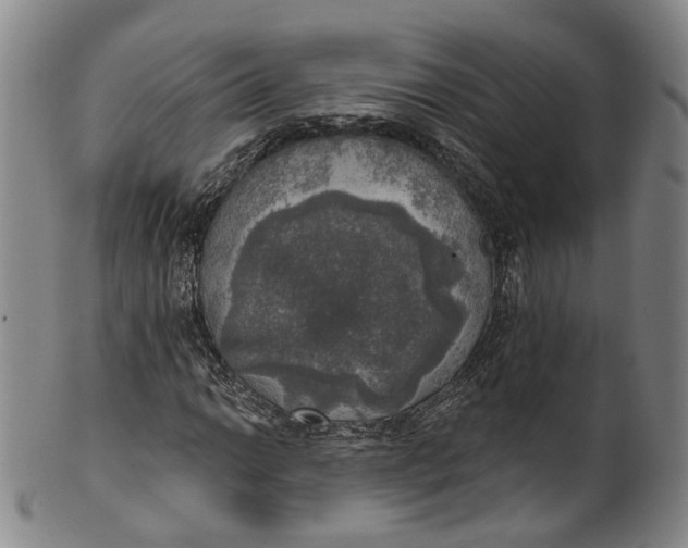 X0000100501014200806271254