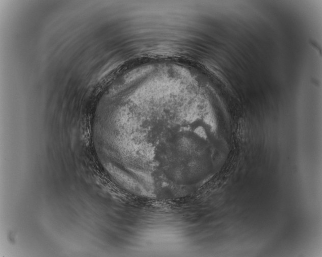 X0000100501015200806271254