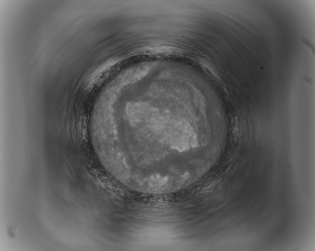 X0000100501016200806271254