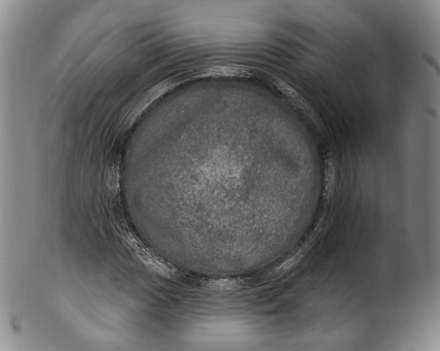 X0000100501017200806271254