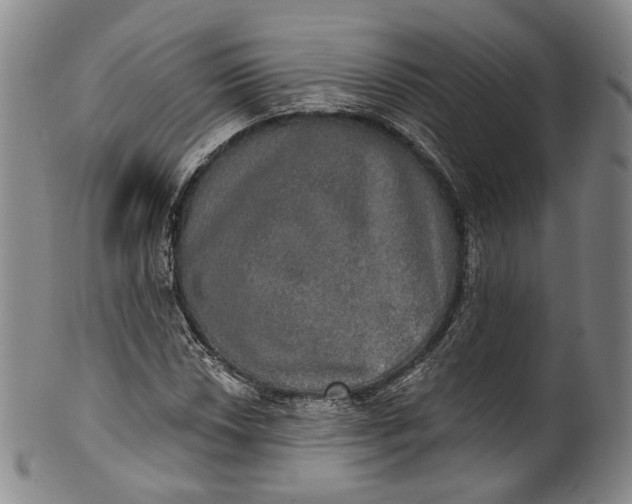 X0000100501018200806271254