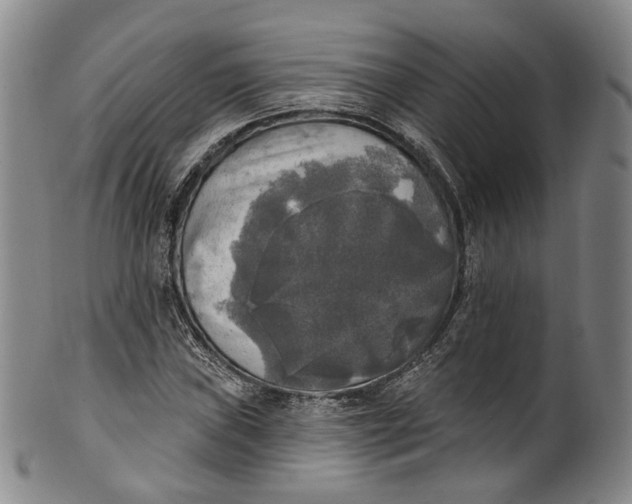 X0000100501019200806271254