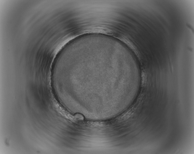 X0000100501020200806271254