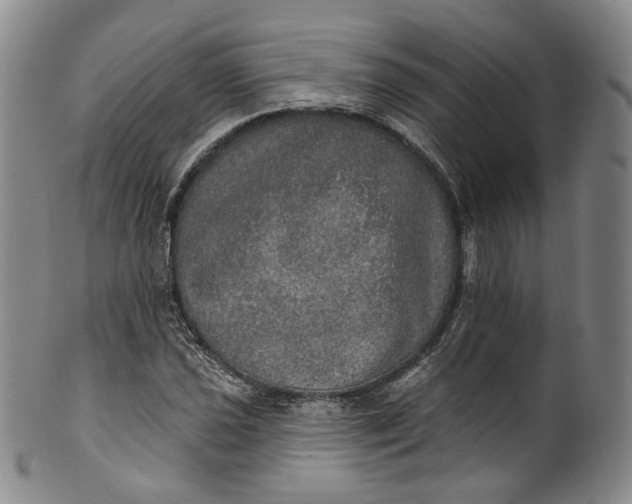 X0000100501021200806271254