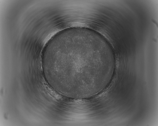 X0000100501022200806271254