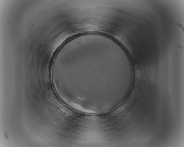 X0000100501023200806271254