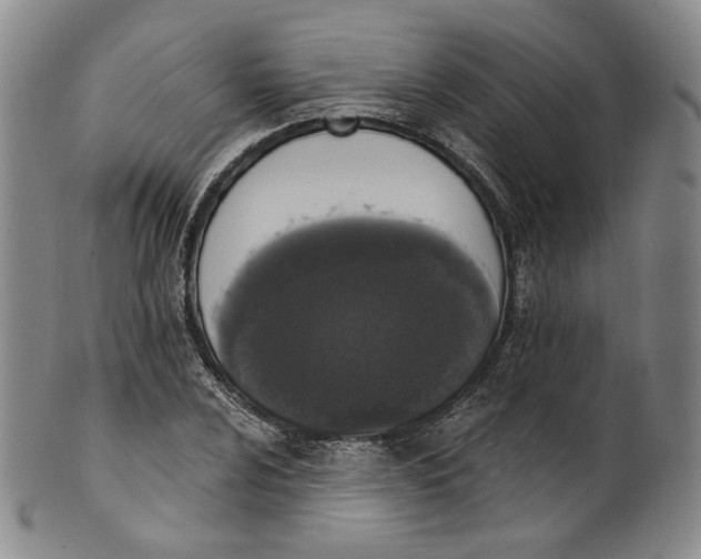 X0000100501024200806271254