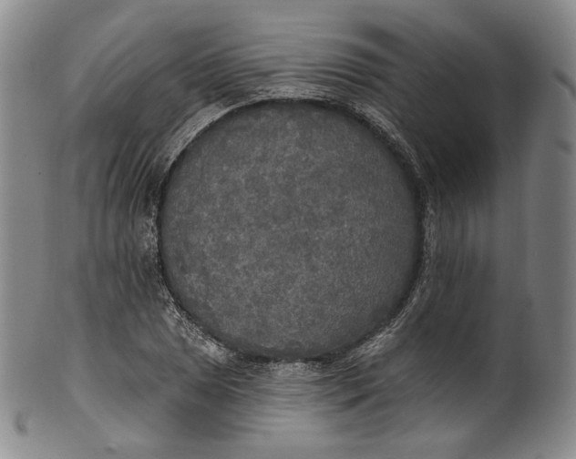 X0000100501025200806271254