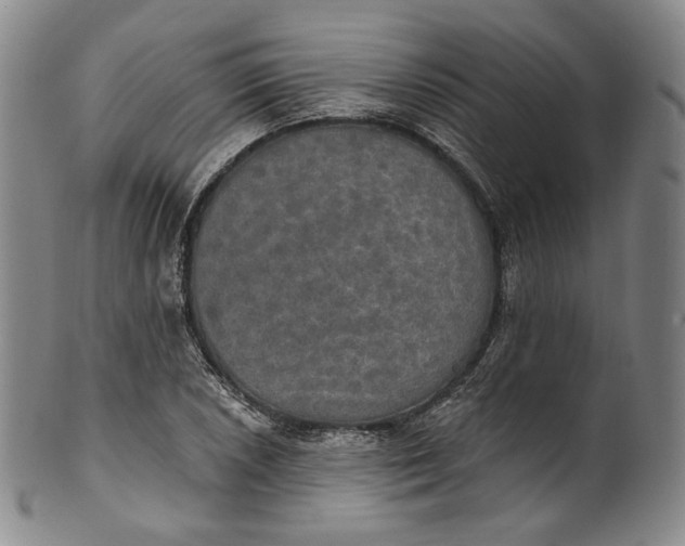 X0000100501026200806271254