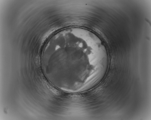 X0000100501027200806271254