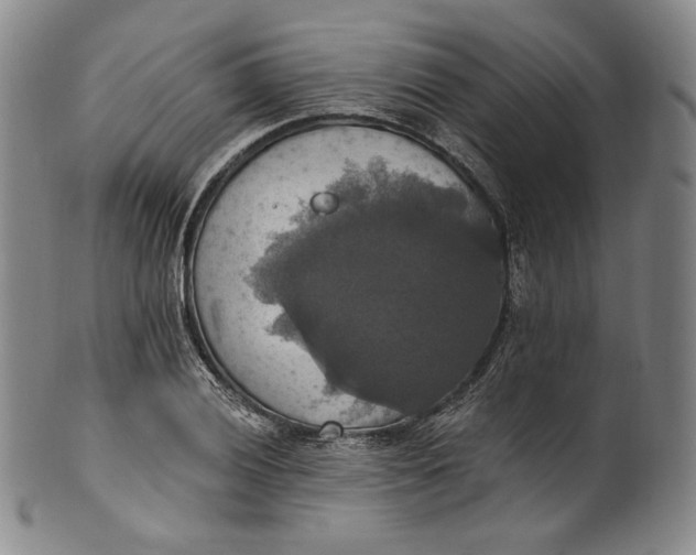 X0000100501028200806271254