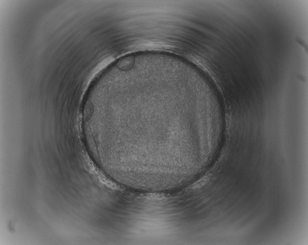 X0000100501029200806271254