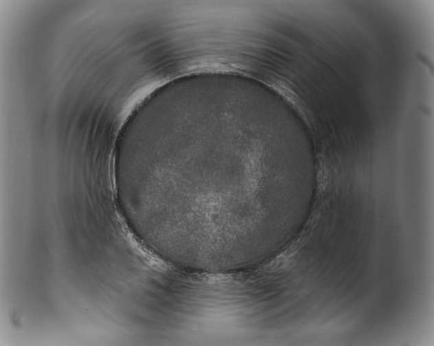 X0000100501030200806271254