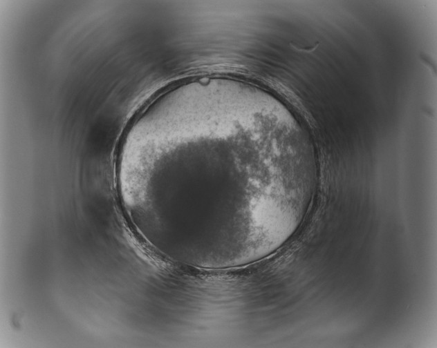 X0000100501031200806271254