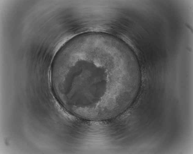 X0000100501032200806271254