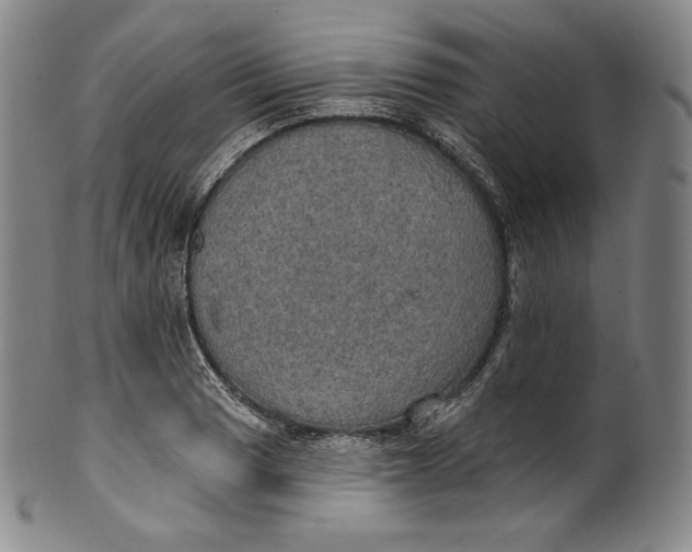 X0000100501033200806271254