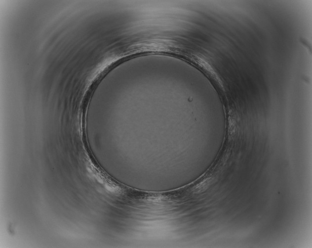 X0000100501035200806271254