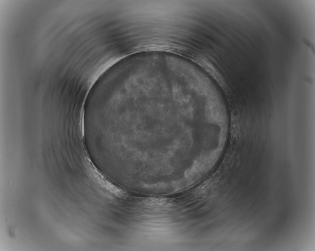 X0000100501036200806271254