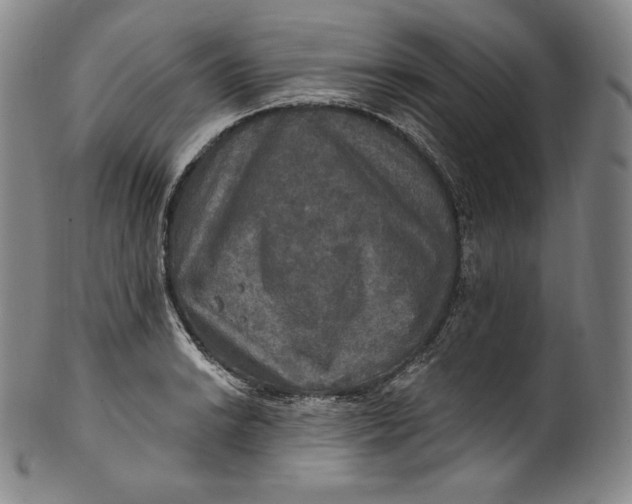 X0000100501038200806271254