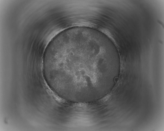 X0000100501040200806271254