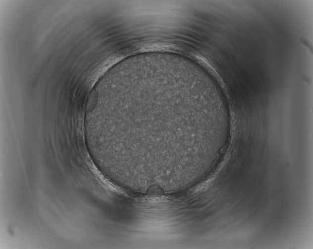 X0000100501041200806271254