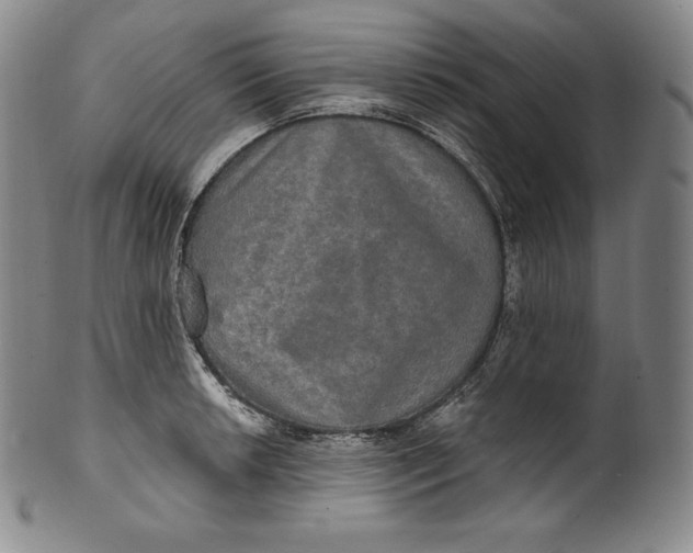 X0000100501042200806271254