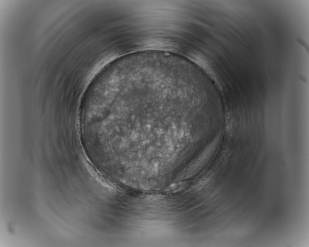 X0000100501043200806271254