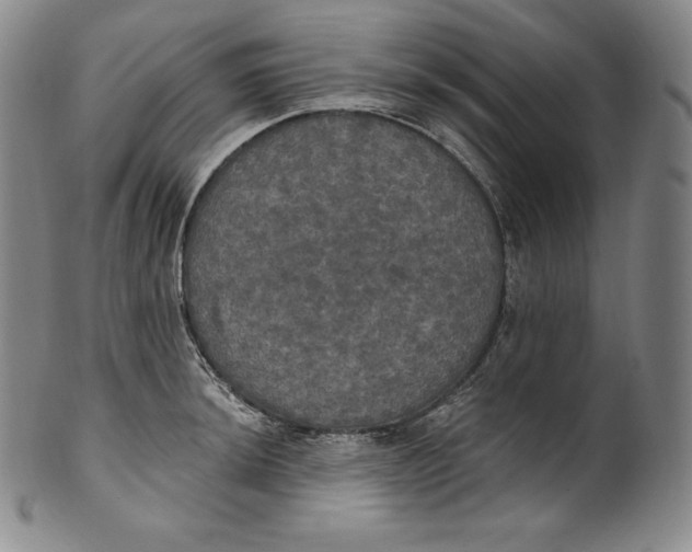 X0000100501044200806271254