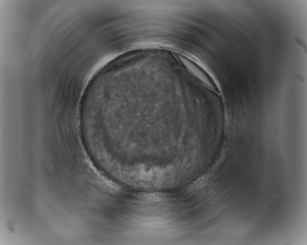 X0000100501045200806271254