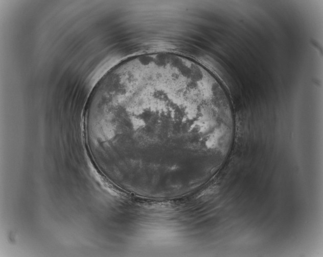 X0000100501047200806271254