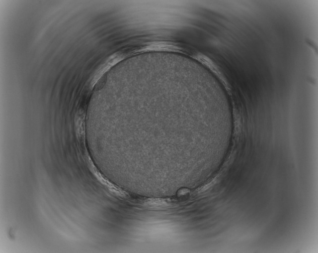 X0000100501049200806271254