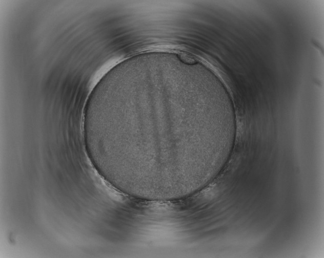 X0000100501050200806271254