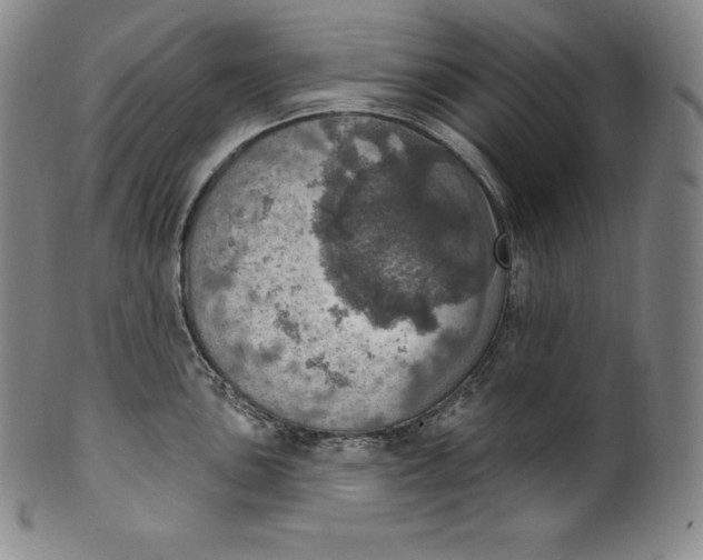 X0000100501051200806271254