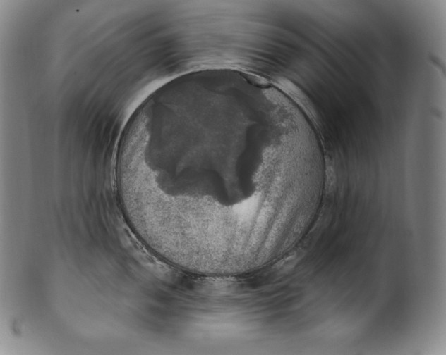 X0000100501052200806271254