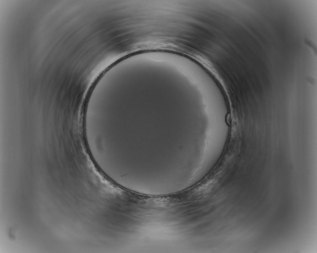 X0000100501053200806271255