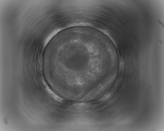 X0000100501054200806271255