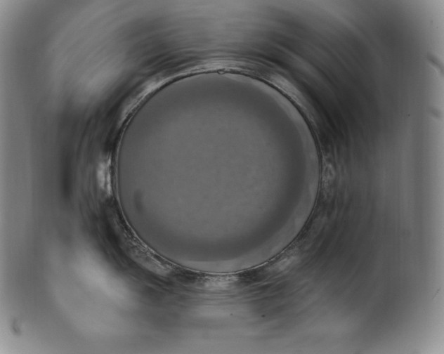 X0000100501055200806271255