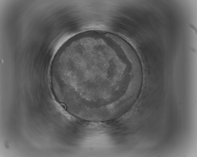 X0000100501056200806271255