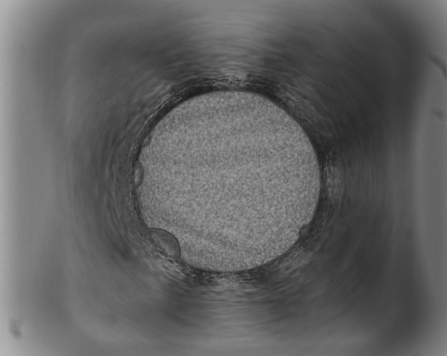 X0000100501057200806271254